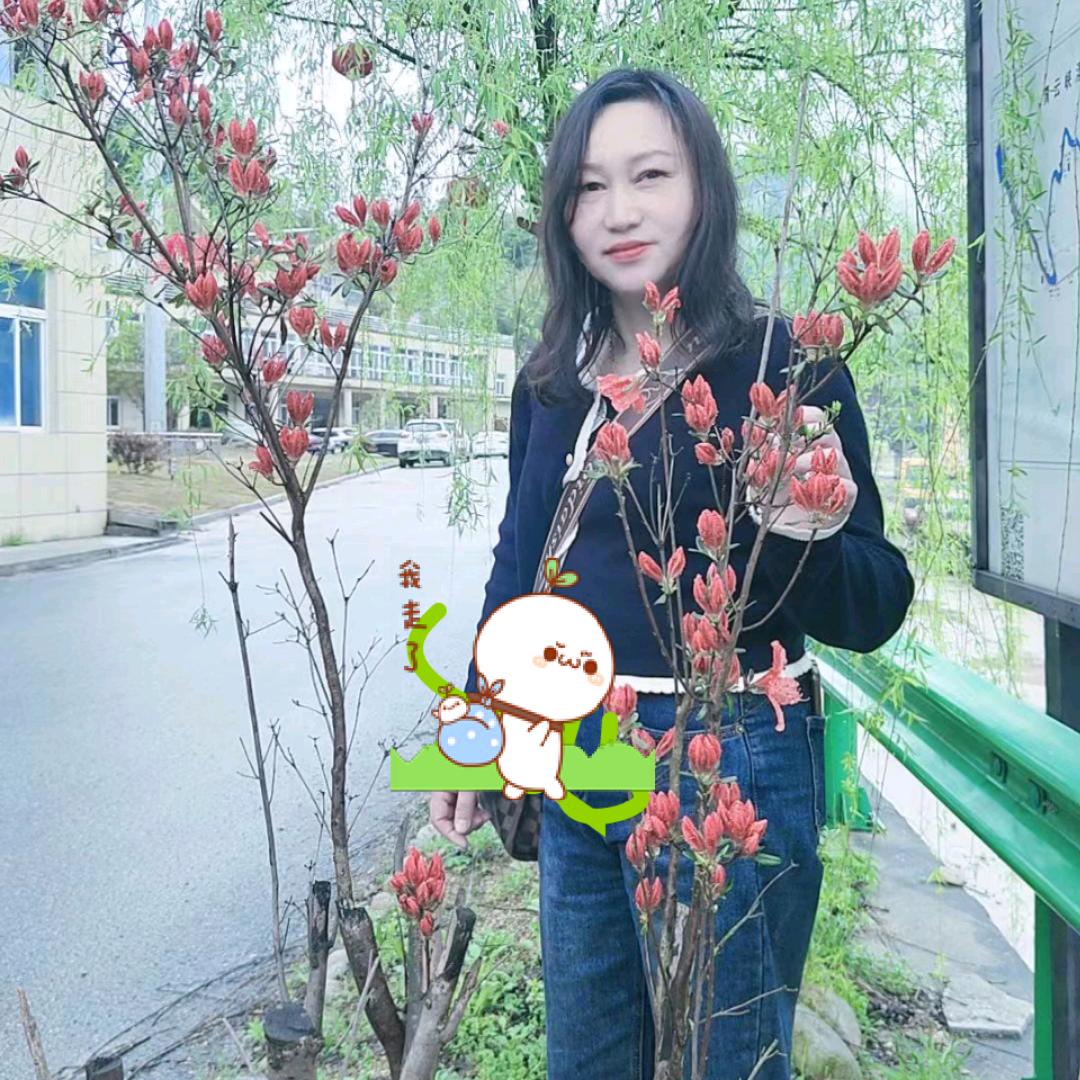 刘丽华:馨绣窗帘1505568477