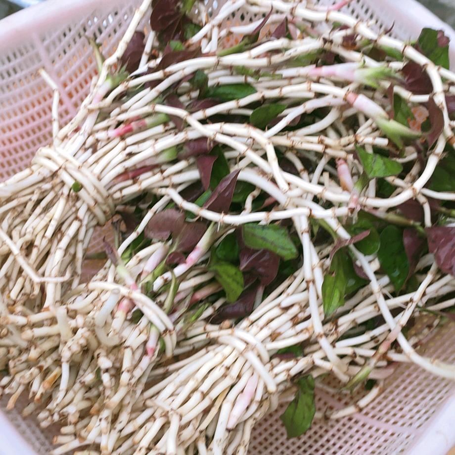 迪迪60
