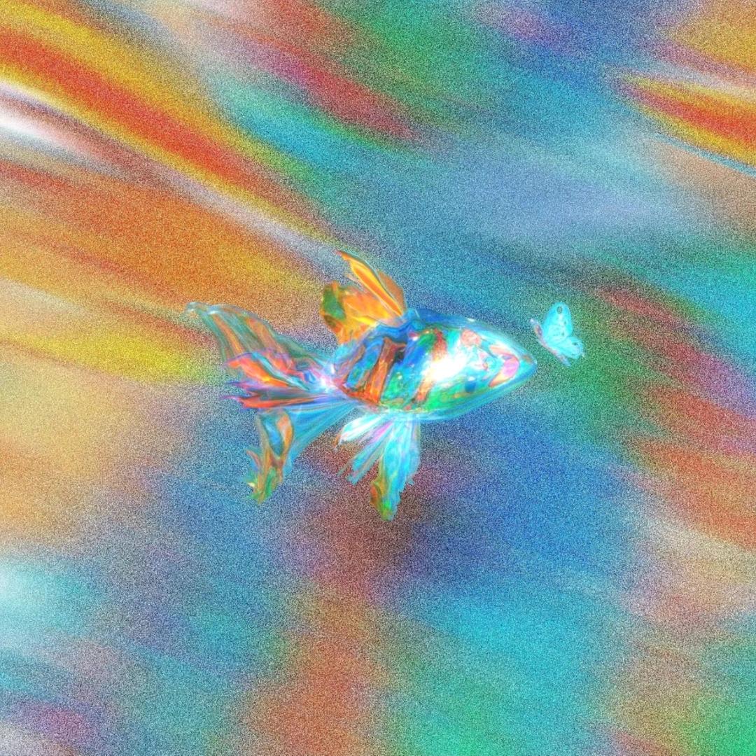星星不七年