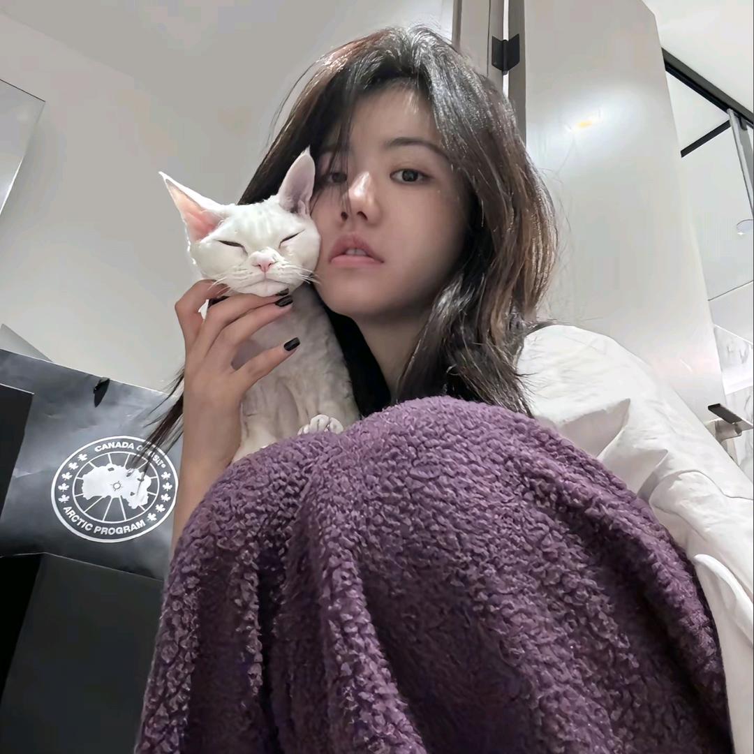 酷酷的桃（双11版🔥）