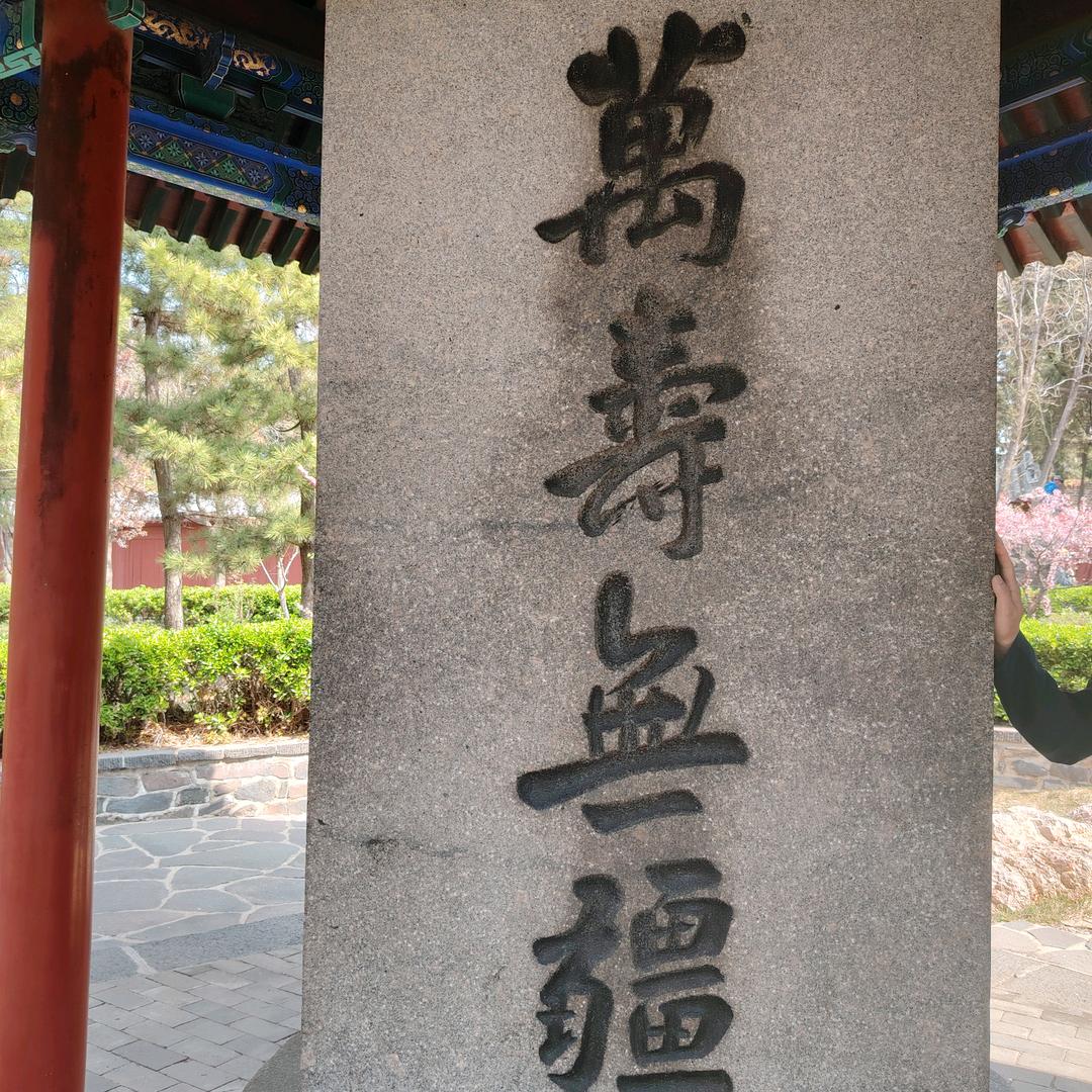 苏G《刘哥》