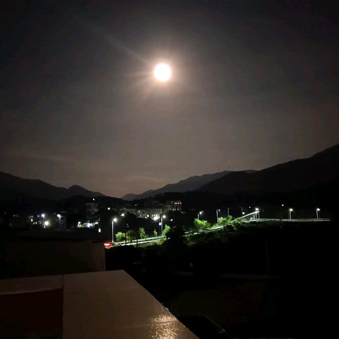 Z小芳