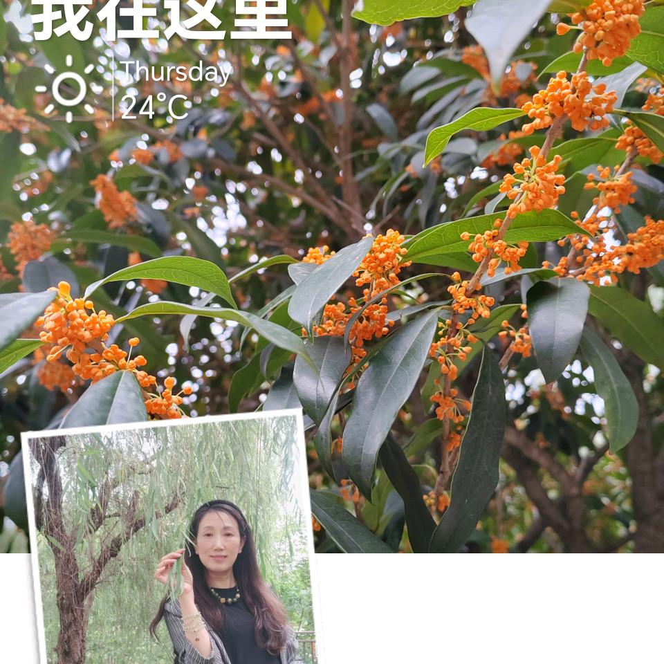 笙姐