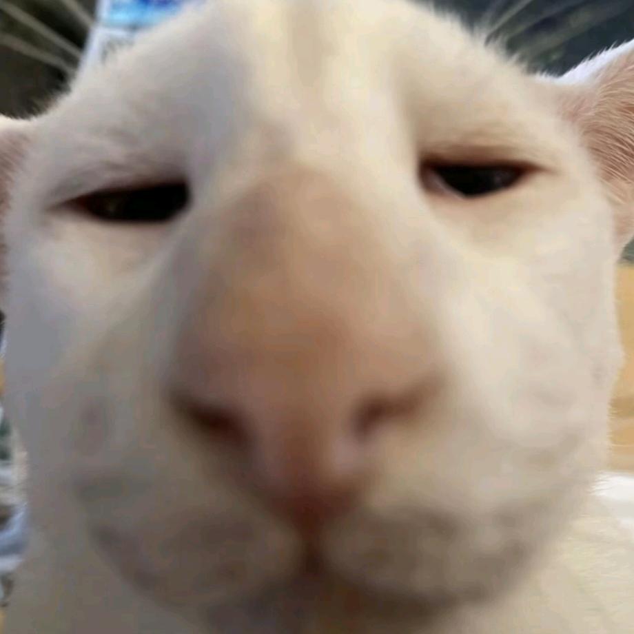 牛霸天了