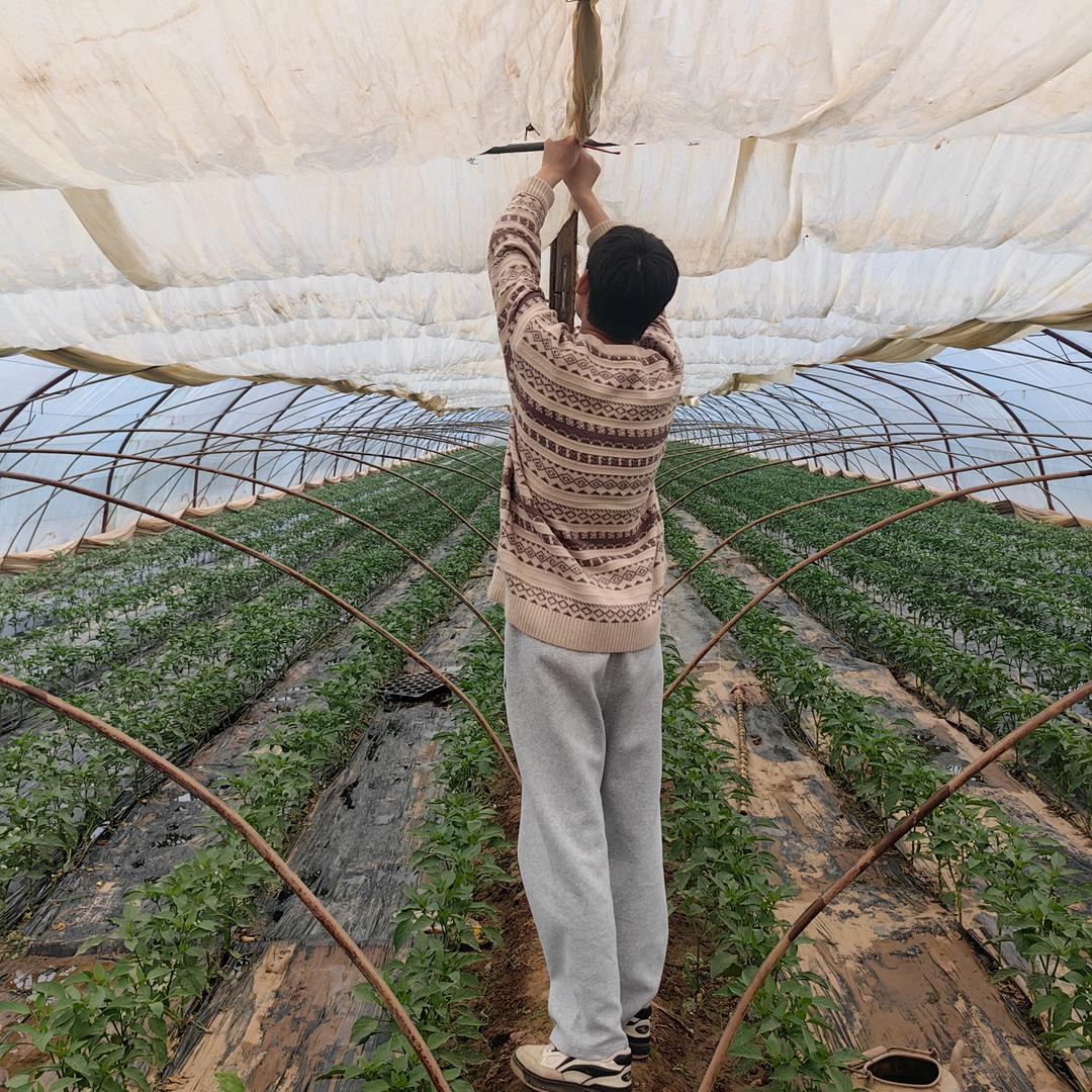 小阿Q（新农人）