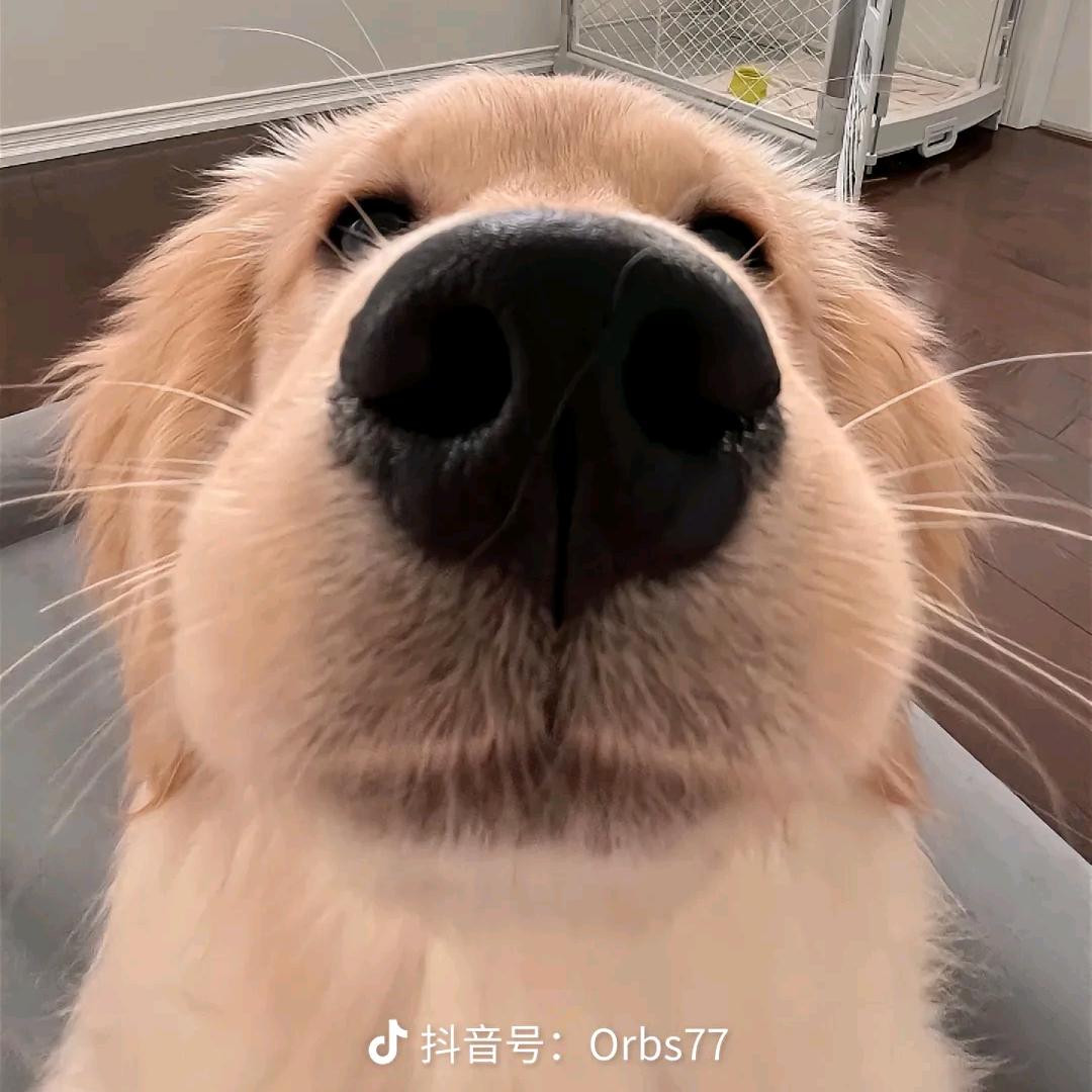团购推荐官