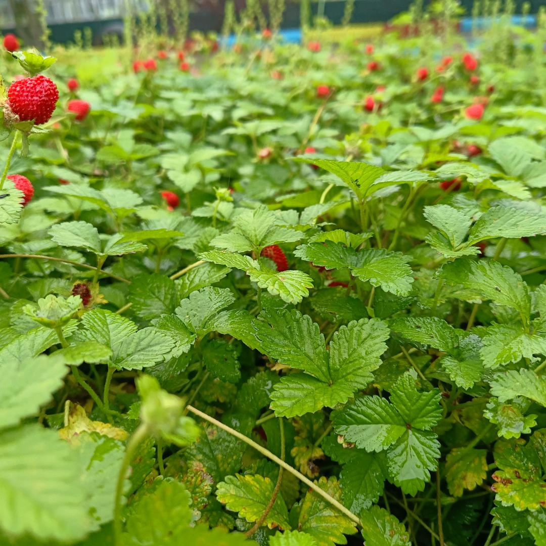 正在注销