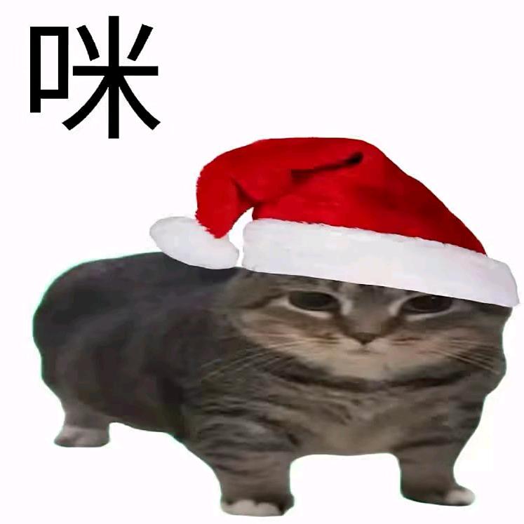 传奇老猫♚🍮