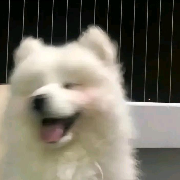 哈哈ｸﾞｯ!(๑•̀ㅂ•́)و✧