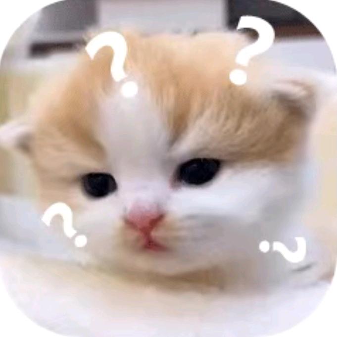 关关搞笑头像