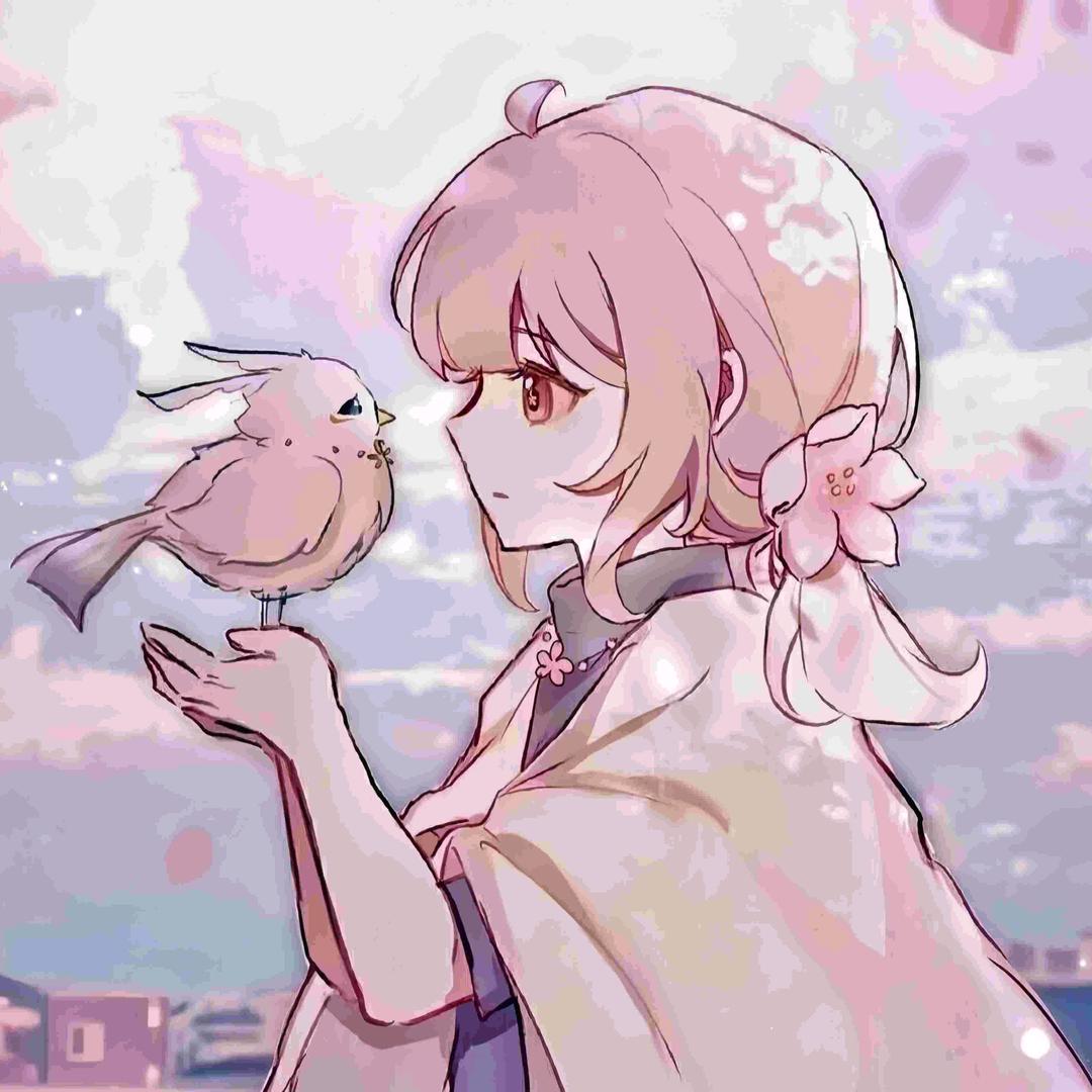 新郑萍姐二手车