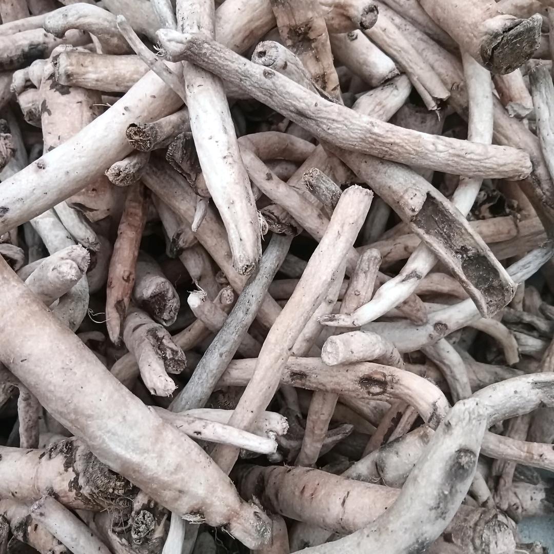 野心（大量收购白芍牡丹）