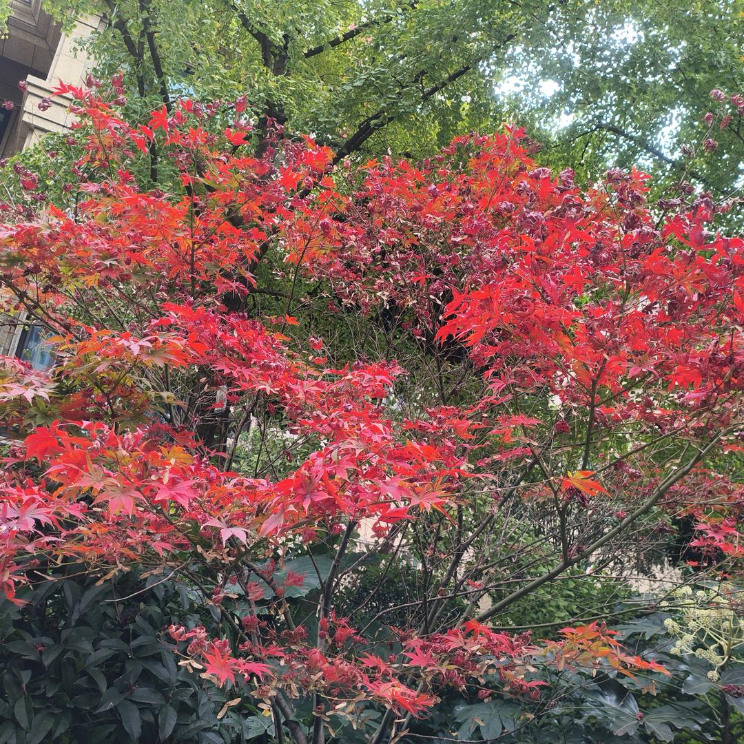 开开心心每一天