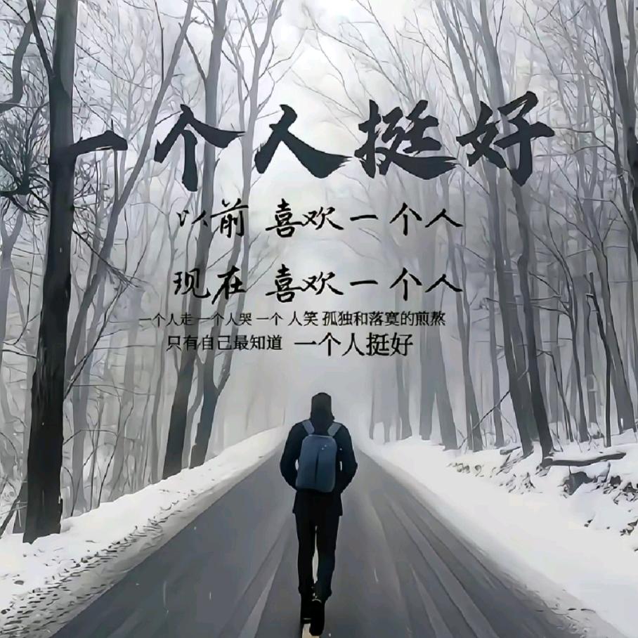 孤风笑华年