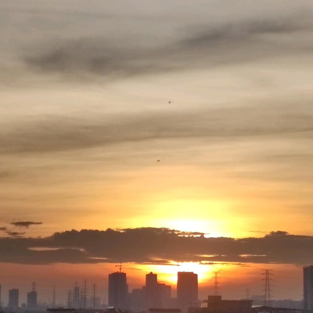 🌸️🌸️Lin玲