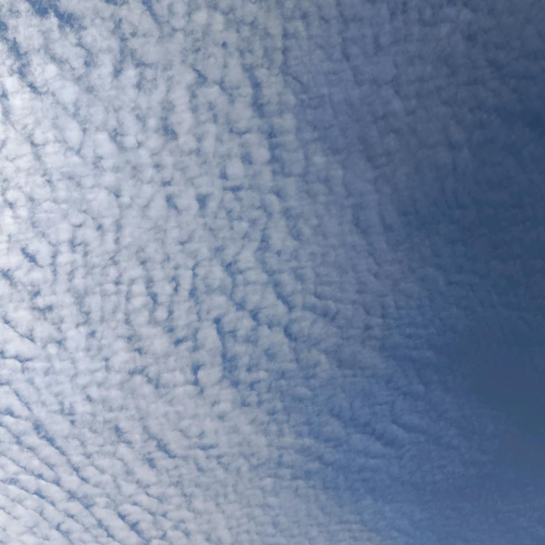 德行天下 刘 俊 永