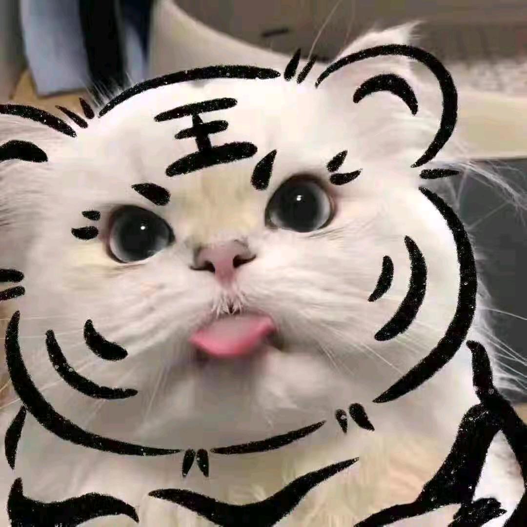 穿越时空的爱恋