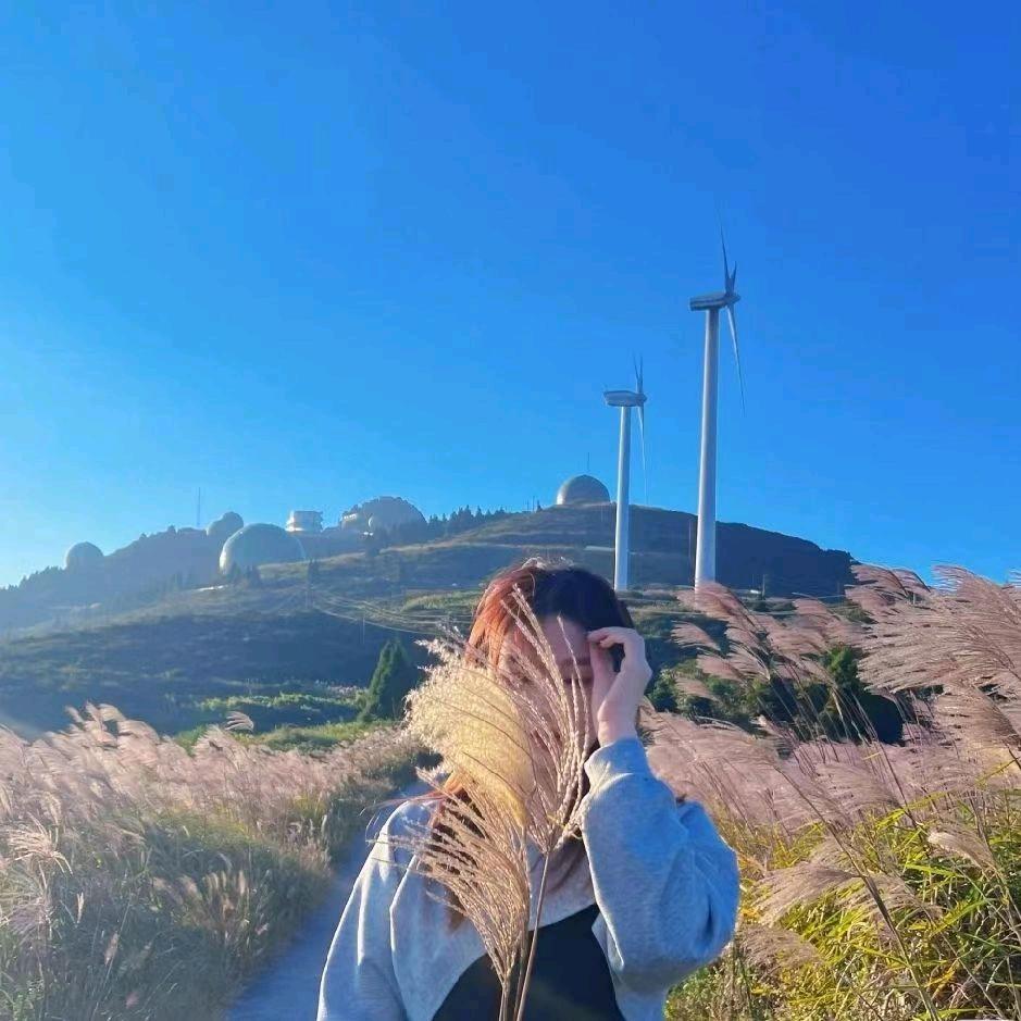 今天都不困