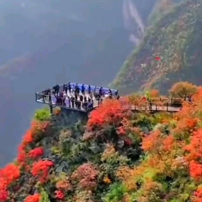 路遥知马力