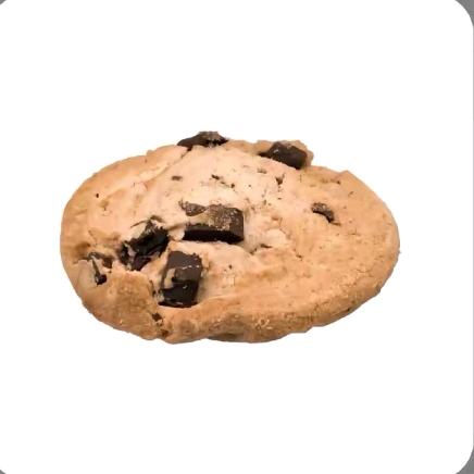 クッキーだよ🍪