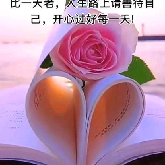 逗歌来了