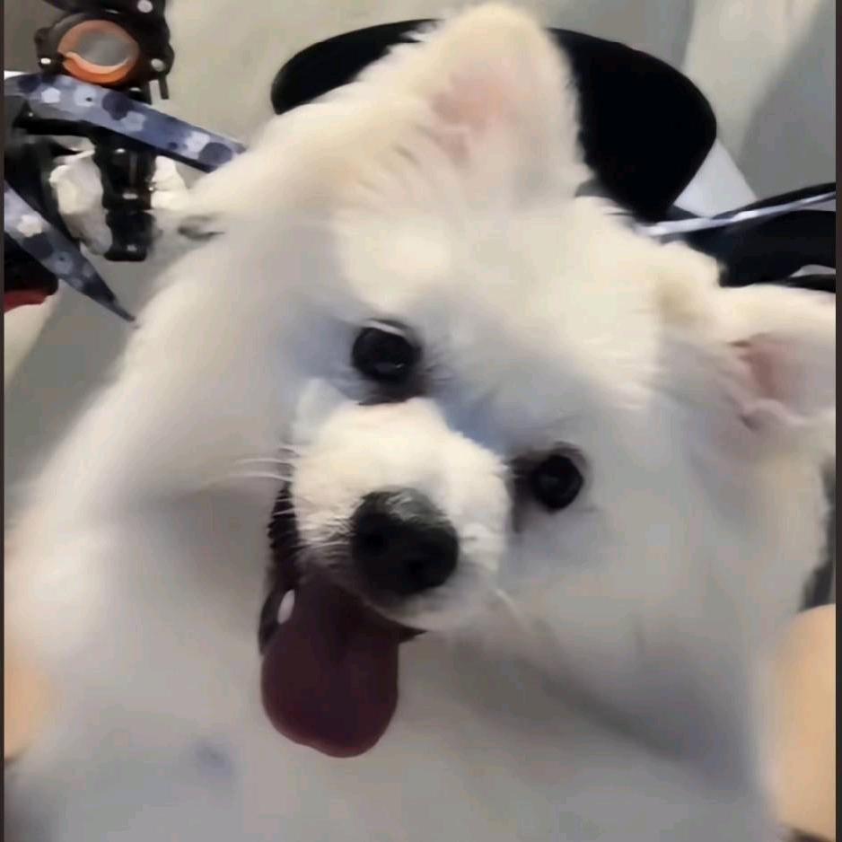 千逐