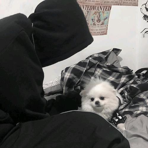 等待候鸟