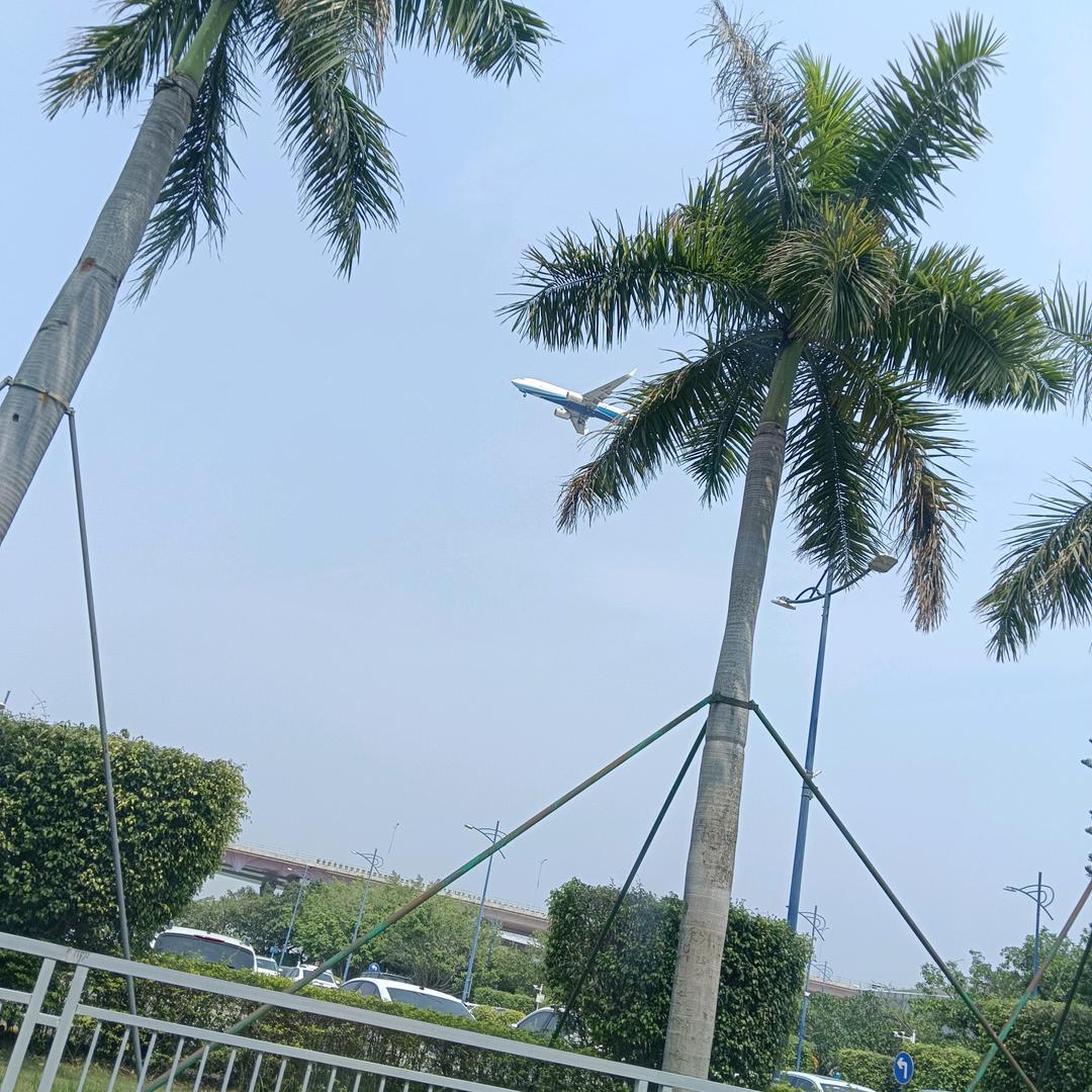 笑ℒ敬ѵ过ℳ往