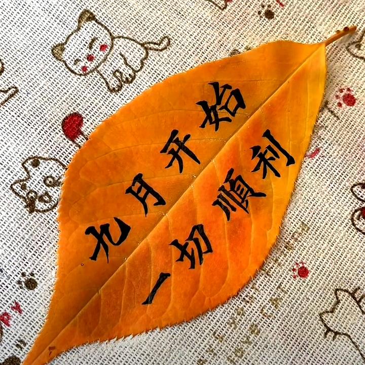 我的老公