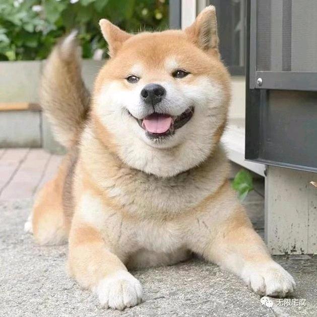 ঞ꯭ღ᭄小ꦿ柠ঞ꯭檬ღ᭄ꦿꕑͫ࿐