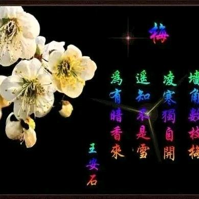 相思语
