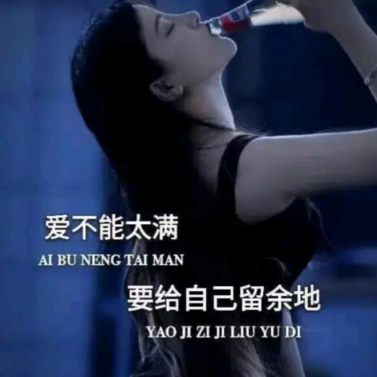 人生若只如初见