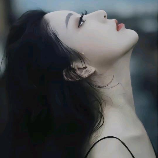 柯可（521）