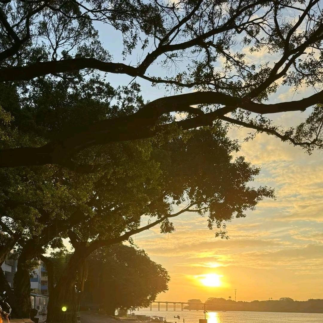 🍀龙🐉之🐉神🍀