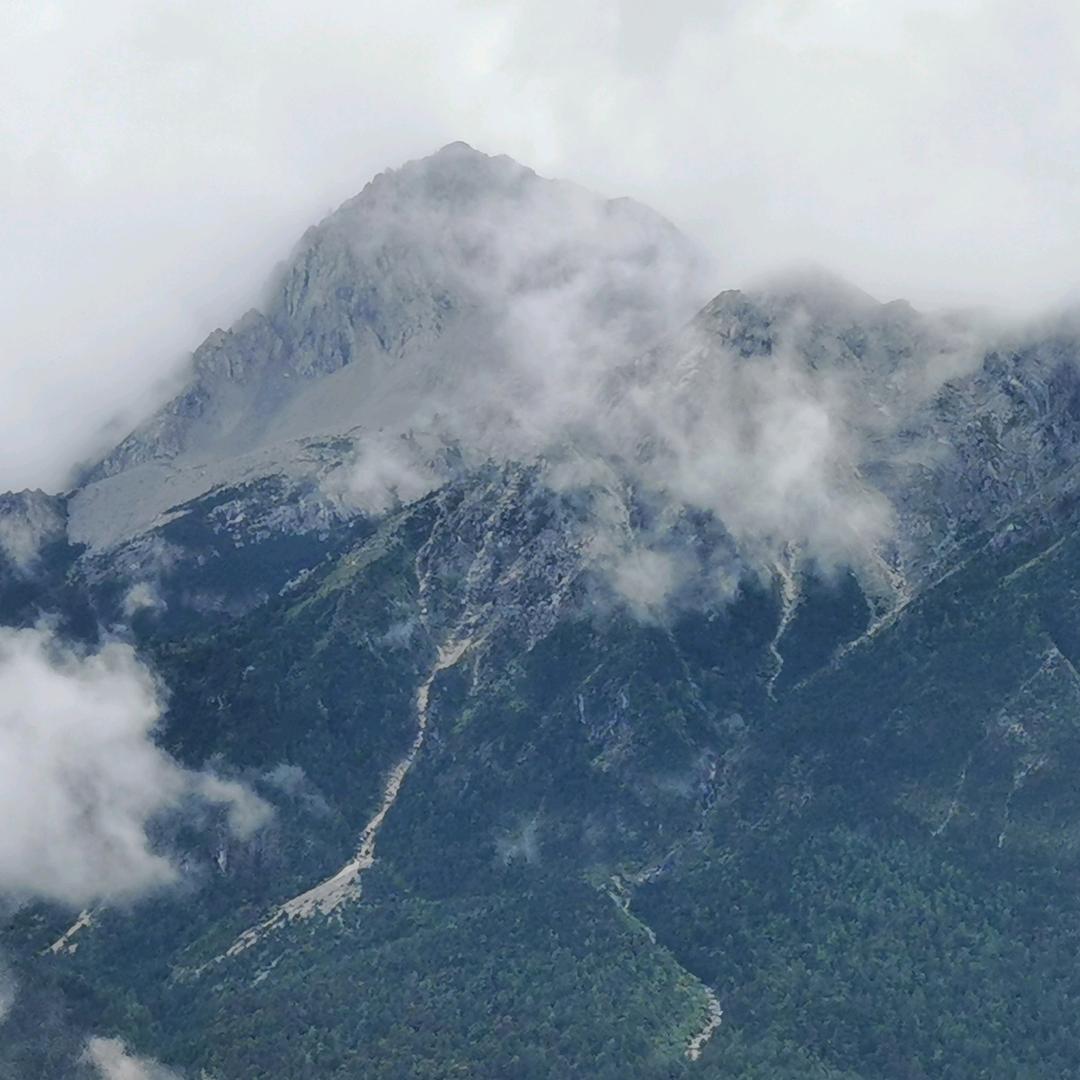 看世界花开花落