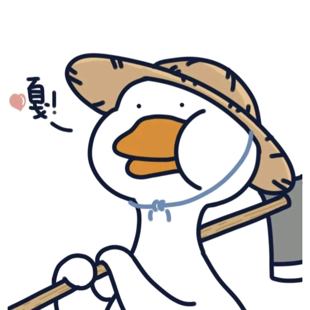 胖胖的小企鹅