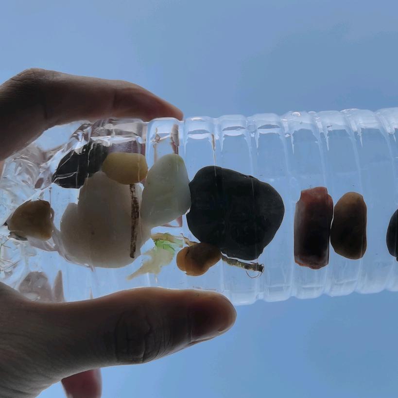 卡卡龙　　　       　╲