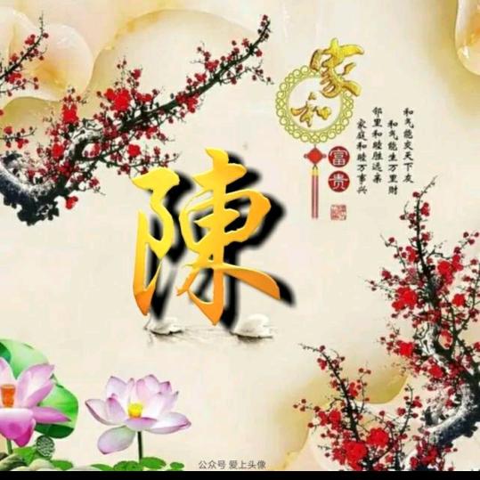 陈老咪