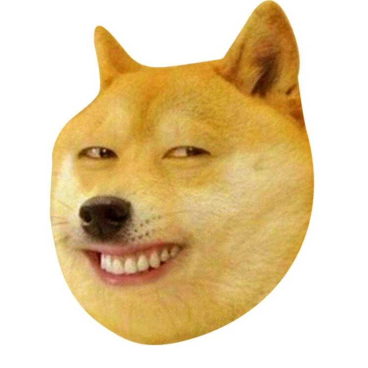 老张努力啊