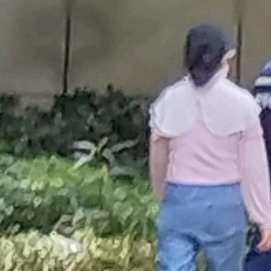 大米