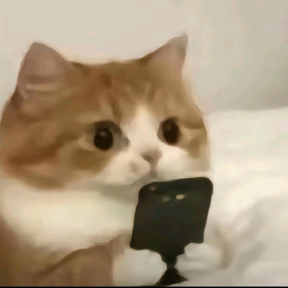 喜欢妮蔻