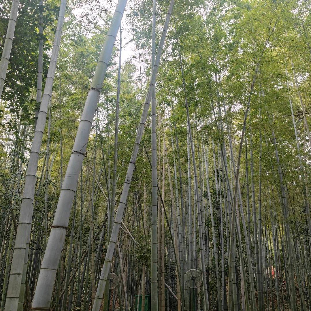 比奇堡游戏乐园