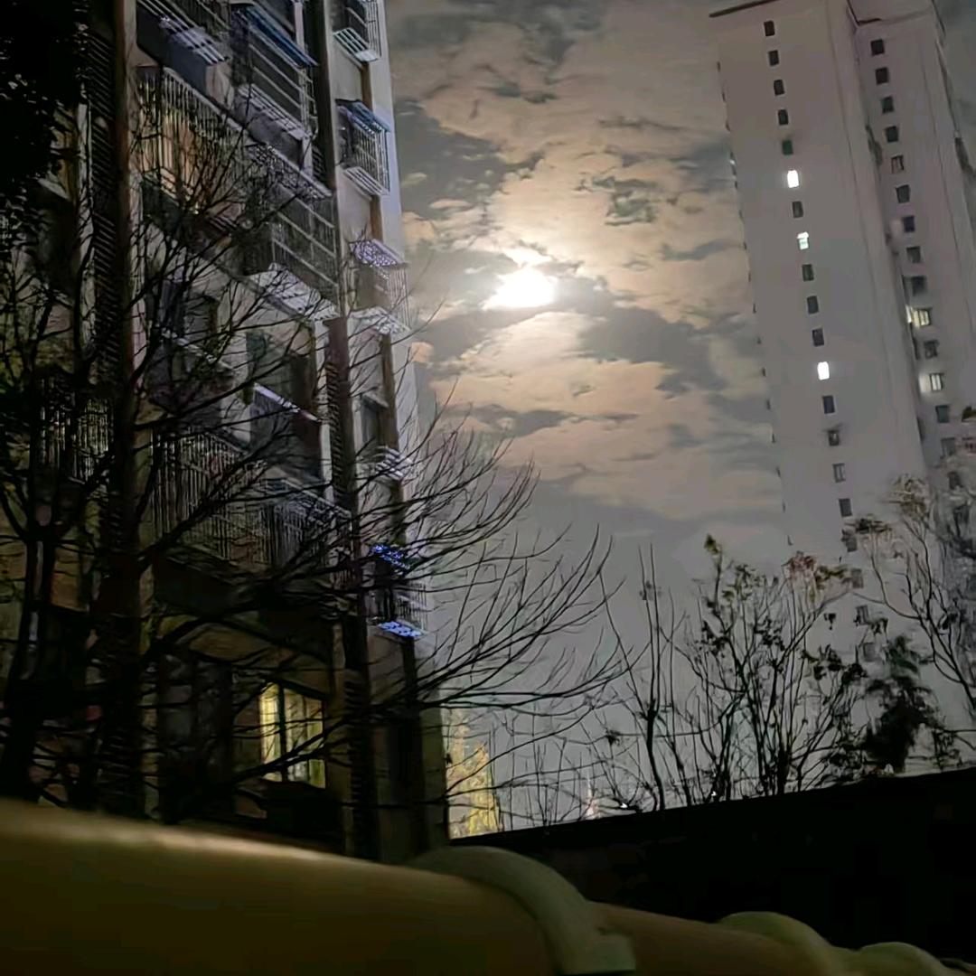 作品博主小熊头像