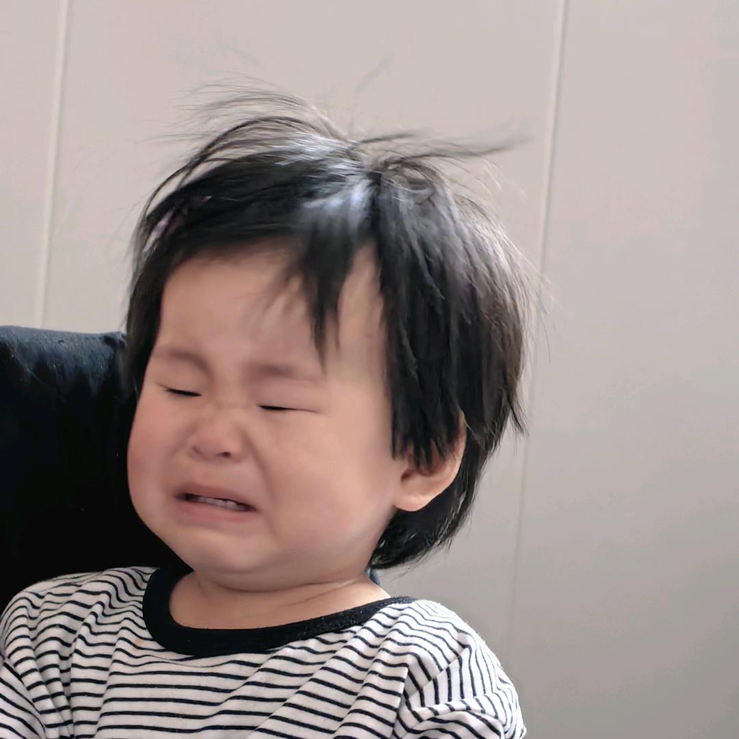 刘六六