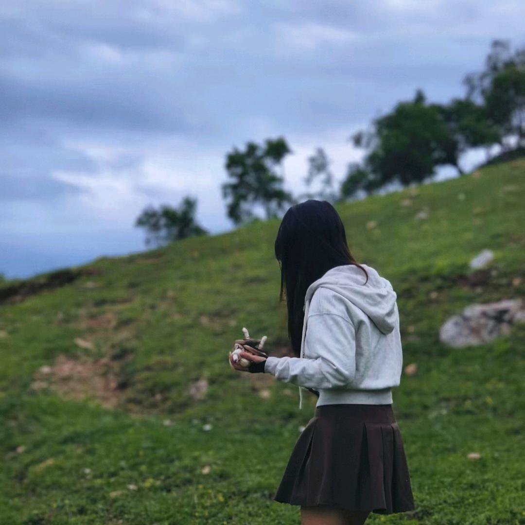 兔子🥕(叫不醒)