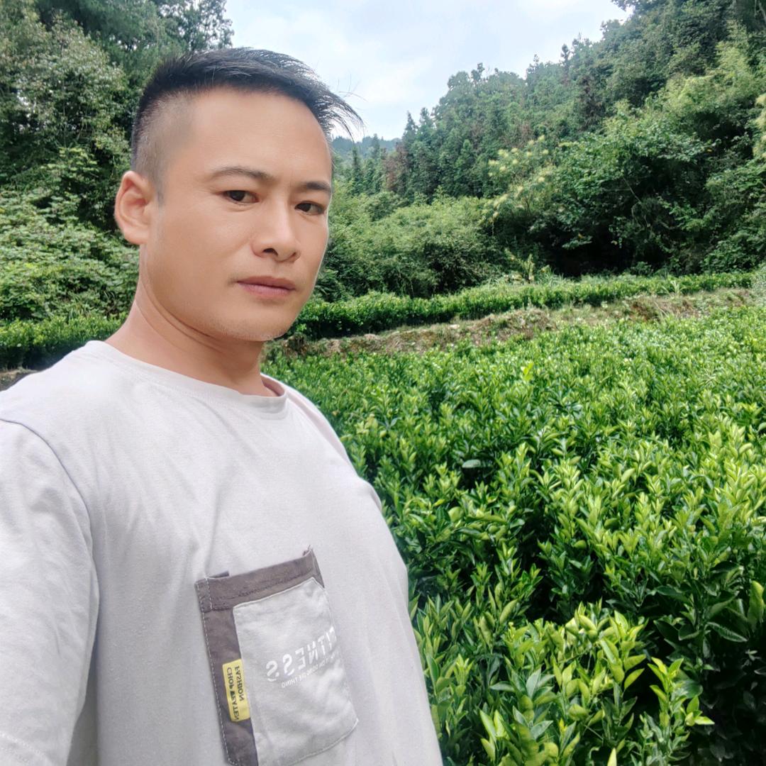 高桥勇哥道士