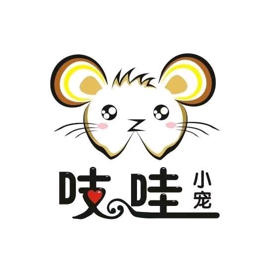 吱哇小宠