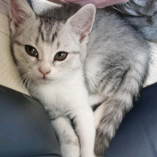 三三（孕晚期）