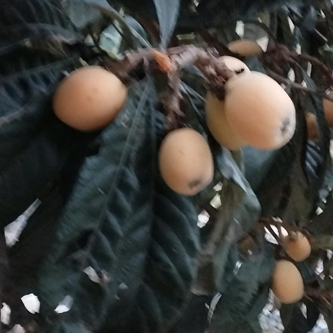 人生没有回头路