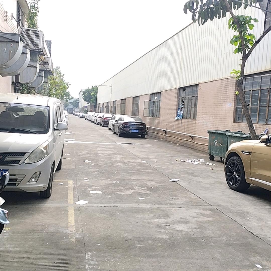 ㅤㅤㅤㅤㅤㅤㅤㅤㅤㅤㅤㅤㅤㅤㅤ